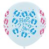 Gender Reveal ballonnen he or she